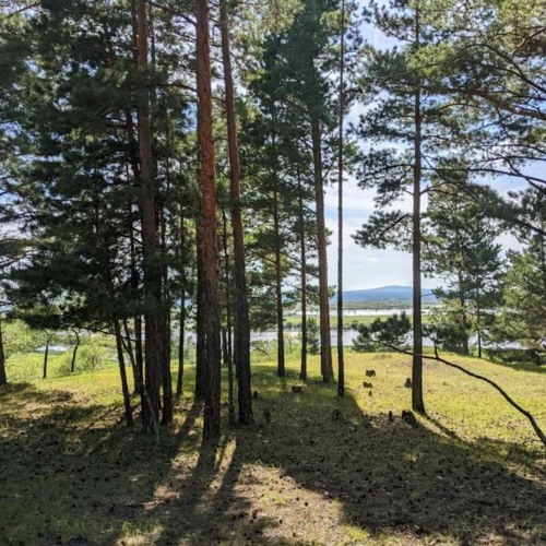 The View, Train Passing,