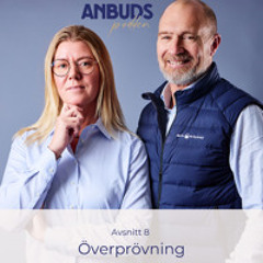 Avsnitt 8 | Överprövning