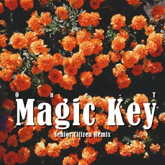 One-T - The Magic Key (Senior Citizen Remix)_Dub Version