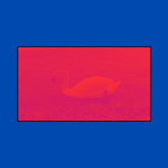 Tyrannosaurus Rex