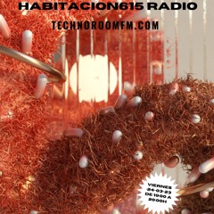 Habitacion615 Radio Show- TechnoRoomFm - Hugo Tasis - 135 -