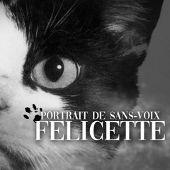 PSV #7 : Félicette, récit d'un chat-stronaute oublié.