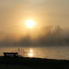 Watching the River flow