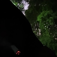 19sex p. major & pek