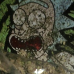 BIGBOILUCCI - SHAKESPEARE