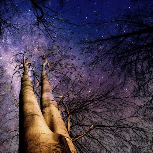 Stream How to Read a Horary Chart Will I Get the Job? by Adam Elenbaas