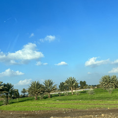 ‎⁨كون يامرنا سيد على السيستاني⁩
