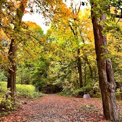 04-Jean-Philippe Grégoire Trio: Father