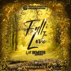 WRO Presents: Fall In Love With Remixer Zaheer [Remixer Zaheer]