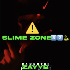 ZayyB - Slime Zone