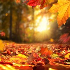 Dj Naja-autumn 2024 ( remember 2004/2008 )