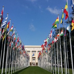 The Political Feasibility of the Adoption of the UNDP’s “Türkiye Compact”