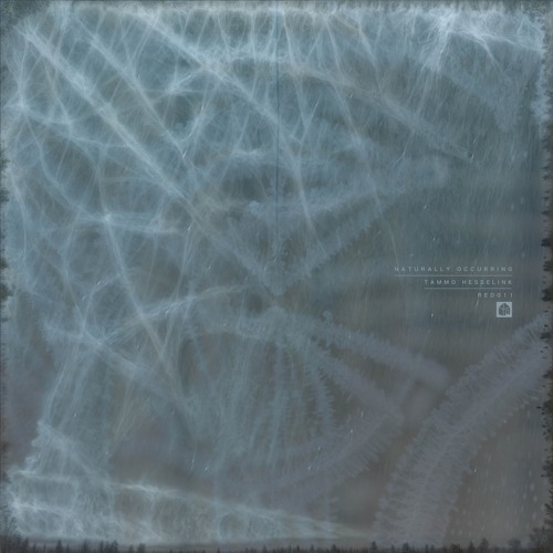 PREMIERE: Tammo Hesselink  - Butter Hands [Redstone Press]