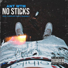 ANT WTM - No Sticks (feat. PURPPLIPP POOH & GoGetta D)