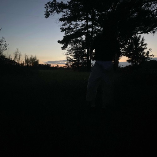 nicholas bonnin ft angelicca - shut up and listen (slowed)