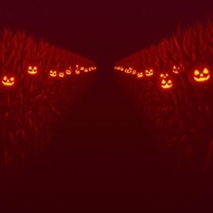 haunted maze (ain’t getting out alive)
