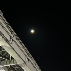 [COVER] 주저하는 연인들을 위해 - 잔나비