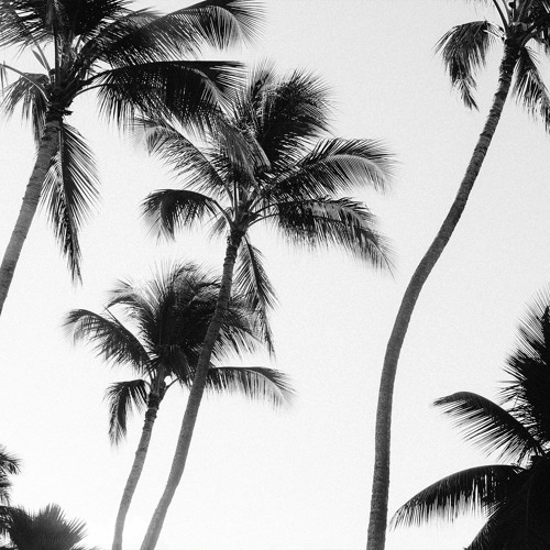 Post Malone Type Beat - White Palms