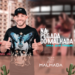 Na Pegada Do Malhada (Pra Que Fingir)