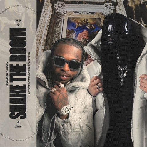 SHAKE THE ROOM (Rvphaello Remix)