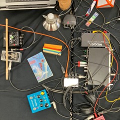 Le Collectionneur de Sons