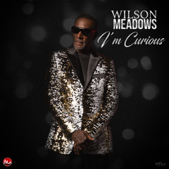 Wilson Meadows I'm Curious