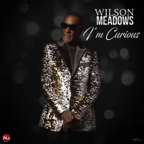 Wilson Meadows I'm Curious