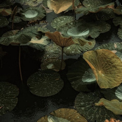 𝐲𝐨𝐮 𝐜𝐚𝐧 𝐡𝐞𝐚𝐫 𝐢𝐭 𝐭𝐨𝐨?