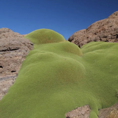 masochist (prod. kbeatz)