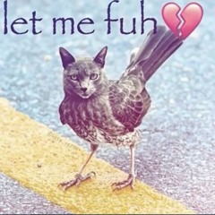 Peak ass fnf songs