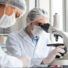 Ihc Staining  IHC - PRS