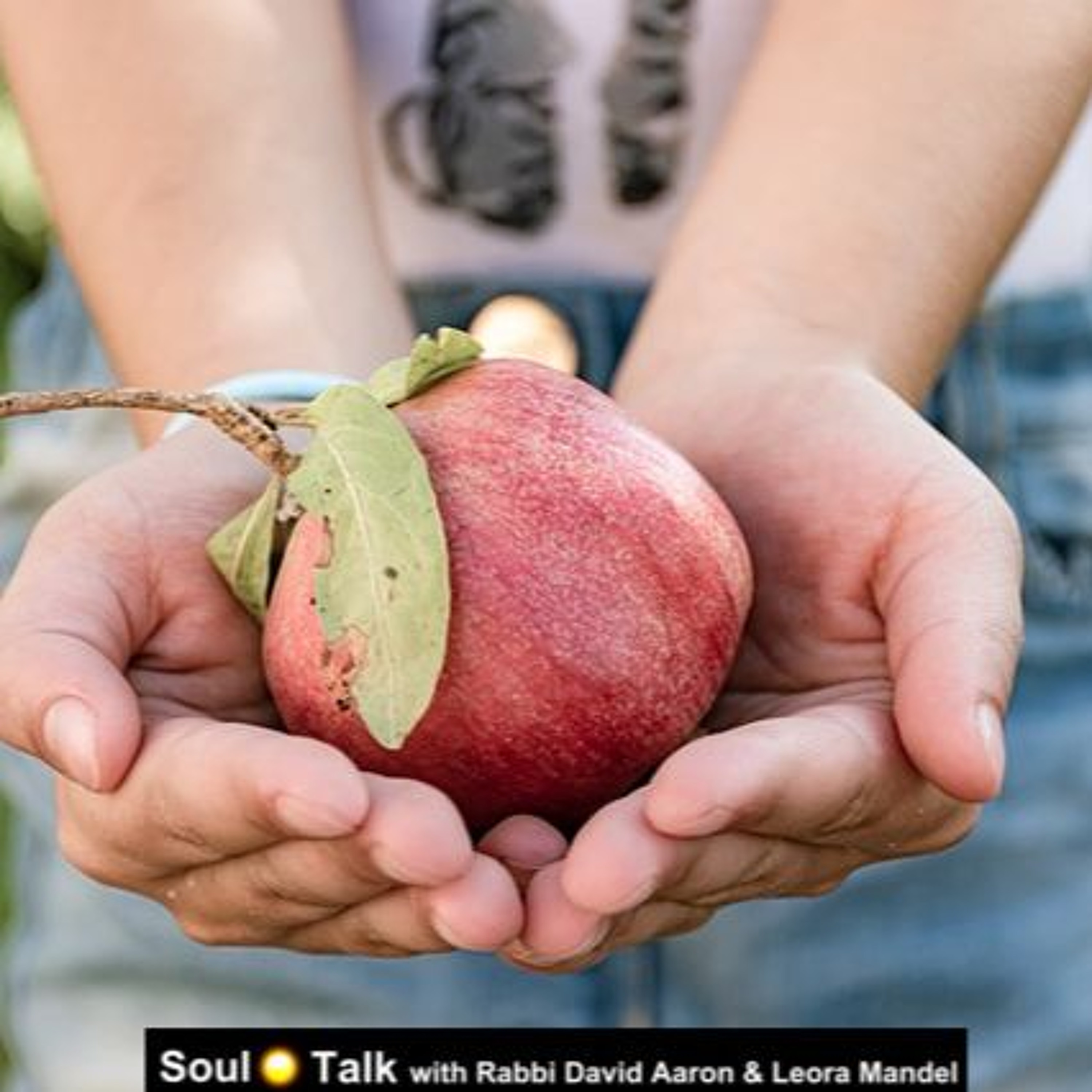 Rosh HaShannah A Day Of Judgement, But Whose Judging? - Soul Talk