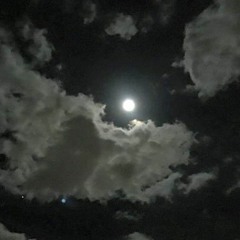 هزاع البلوشي - سورة الملك✨