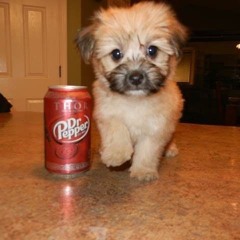 My World - Alexis Munroe Cover