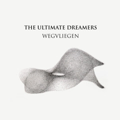 Wegvliegen
