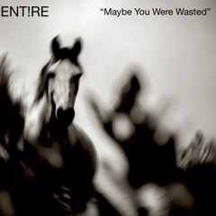 Maybe You Were Wasted ENT!RE