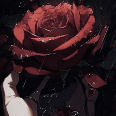 🌹2025