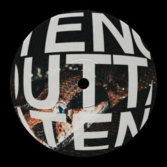 TENOUTTATEN x hoshia tone