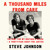 Artwork for A Thousand Miles From Care: The Hunt for My Brother’s Killer – A Thirty-Year Quest for Justice, By Steve Johnson, Read by Steve Johnson