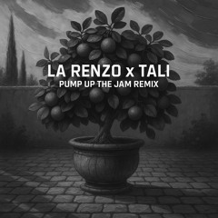 Pump Up The Jam (La Renzo x TALI extended mix)