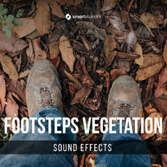 Footsteps Vegetation - Demo
