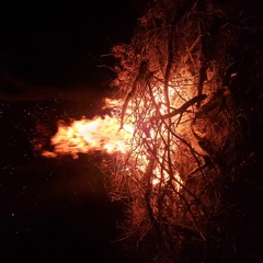 Fire Whiskey Vol. 1