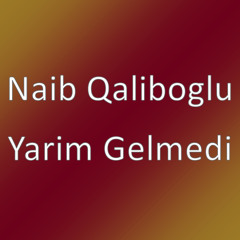 Yarim Gelmedi