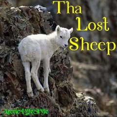 Tha'Lost'Sheep