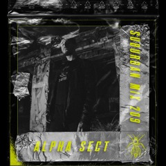 Suburban Mix 209 - Alpha Sect
