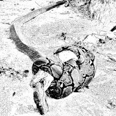 Amy ft. Garett Caramel - Luxor (demo)