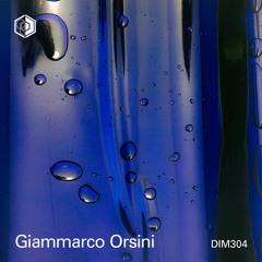 DIM304 - Giammarco Orsini