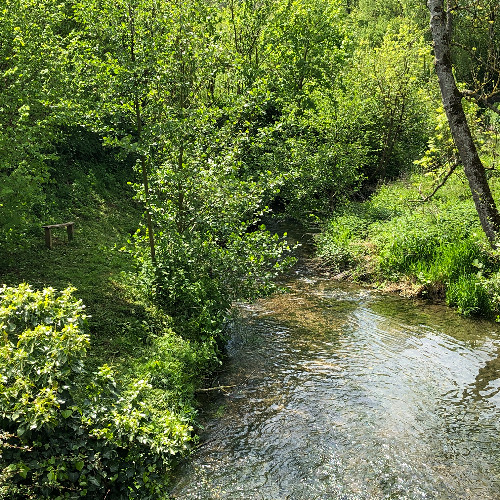 Ouverture (Mais auprès de toi...)