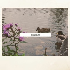 Ceilings (Demo)
