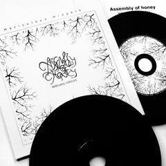 Assembly of honey - February colours (CD)